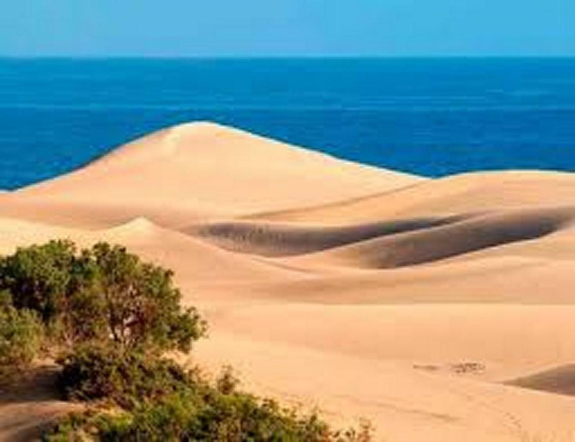 Bungalow Dunas&Sea Maspalomas Maspalomas  Exteriér fotografie